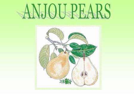 Pears are members of the rose family and are related to the apple and quince. Pears generally have a large round bottom that tapers toward the top. Their.