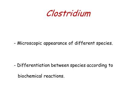 Clostridium - Microscopic appearance of different species. - Differentiation between species according to biochemical reactions.