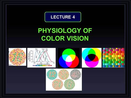 PHYSIOLOGY OF COLOR VISION