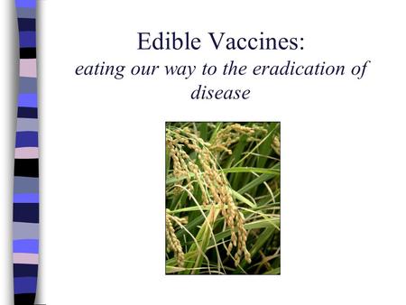 Edible Vaccines: eating our way to the eradication of disease.