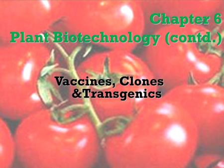 Vaccines, Clones &Transgenics.  Plant vaccines contain dead or weakened strains of plant virus which are injected to plants against diseases  Vaccines.