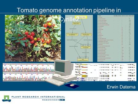 Tomato genome annotation pipeline in Cyrille2