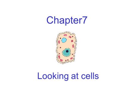 Chapter7 Looking at cells.