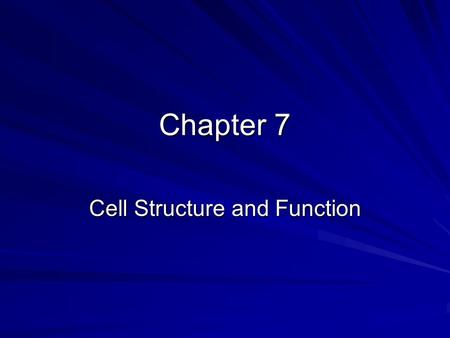 Chapter 7 Cell Structure and Function. Anton van Leeuwenhoek Father of the microscope - 1600’s –used lens technology –fabric quality –telescope same time.