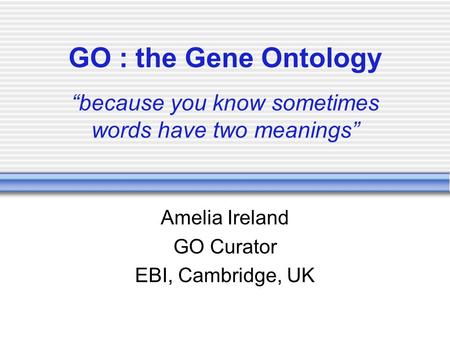 GO : the Gene Ontology “because you know sometimes words have two meanings” Amelia Ireland GO Curator EBI, Cambridge, UK.