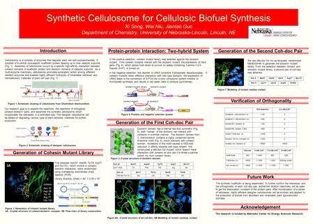 Synthetic Cellulosome for Cellulosic Biofuel Synthesis Xi Song, Wei Niu, Jiantao Guo Department of Chemistry, University of Nebraska-Lincoln, Lincoln,