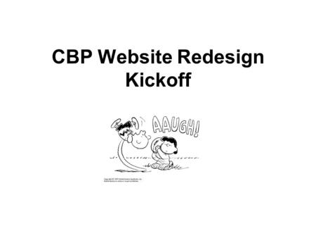 CBP Website Redesign Kickoff. Agenda A Quick Look Back The Task Ahead A Vision Purpose, Goals and Audience(s) Pieces of the Puzzle Timeline Roles and.