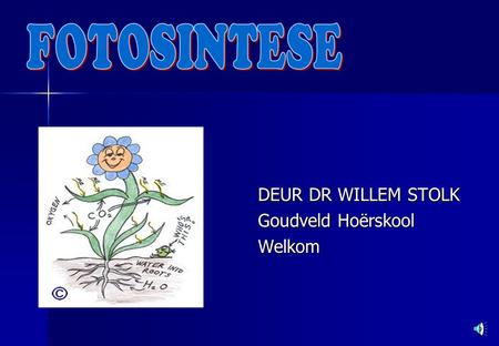DEUR DR WILLEM STOLK Goudveld Hoërskool Welkom