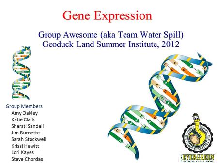 Gene Expression Group Awesome (aka Team Water Spill) Geoduck Land Summer Institute, 2012 Group Members Amy Oakley Katie Clark Sharsti Sandall Jim Burnette.