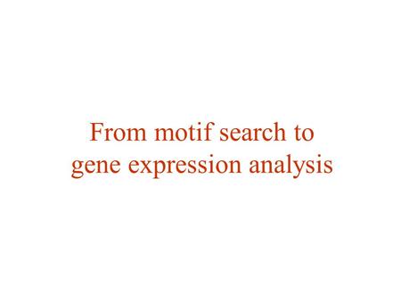 From motif search to gene expression analysis