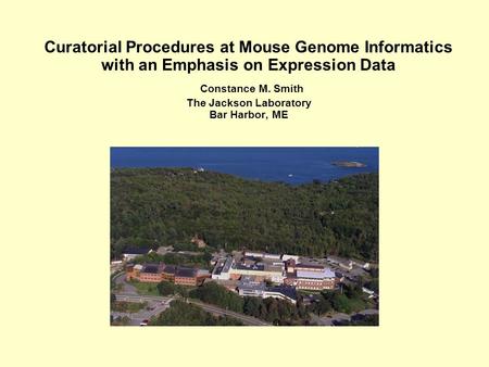 Curatorial Procedures at Mouse Genome Informatics with an Emphasis on Expression Data Constance M. Smith The Jackson Laboratory Bar Harbor, ME.