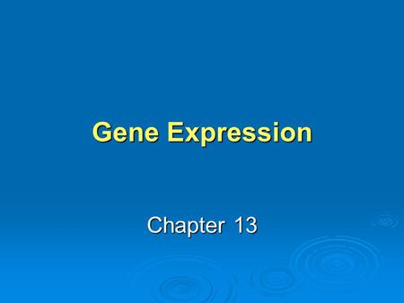 Gene Expression Chapter 13.