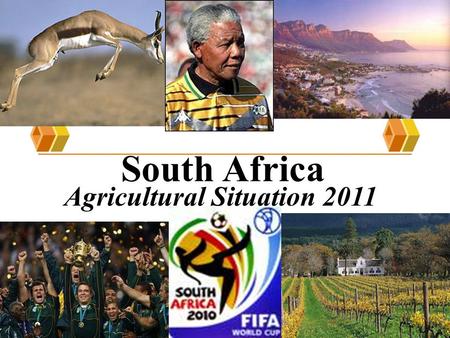 South Africa Agricultural Situation 2011. Economic Highlights Five year average real GDP growth of 3.7%, higher then the world average of 3.3% but lower.