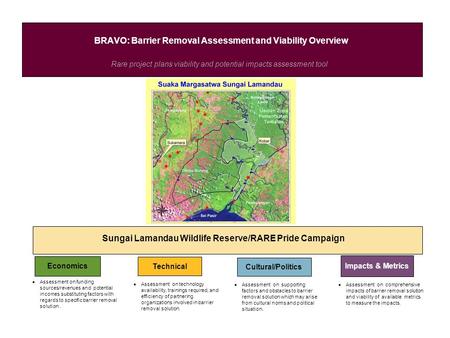 Rare project plans viability and potential impacts assessment tool BRAVO: Barrier Removal Assessment and Viability Overview Sungai Lamandau Wildlife Reserve/RARE.