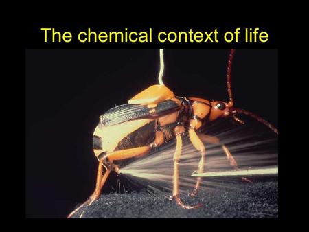 The chemical context of life. Chemistry of Life Element - any substance that is comprised of one type of atom and cannot be broken down into another substance.