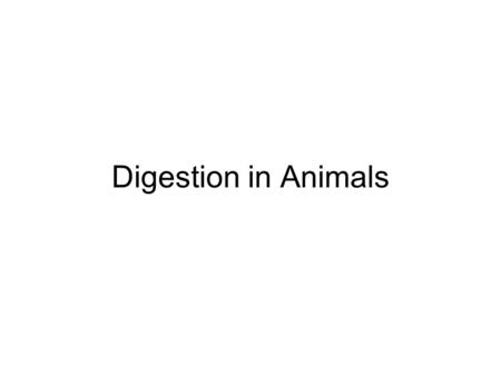 Digestion in Animals.