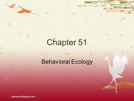 Travismulthaupt.com Chapter 51 Behavioral Ecology.