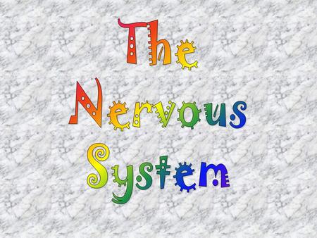 The Nervous System is Very Important Our nerves send messages to everywhere in our body from the brain! The two main parts of the nervous system include.
