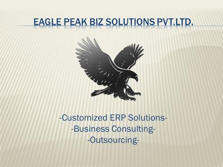 -Customized ERP Solutions- -Business Consulting- -Outsourcing-