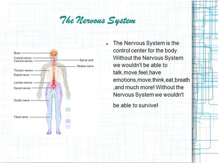 The Nervous System The Nervous System is the control center for the body. Without the Nervous System we wouldn't be able to talk,move,feel,have emotions,move,think,eat,breath.