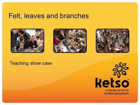 Felt, leaves and branches Teaching show case. Aims of the session Introduce Ketso Mini exercise to experience Ketso (engaging students in problem based.