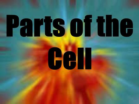 Parts of the Cell Plant vs Animal Cells Controls what gets in and out of the cell Cell Membrane.