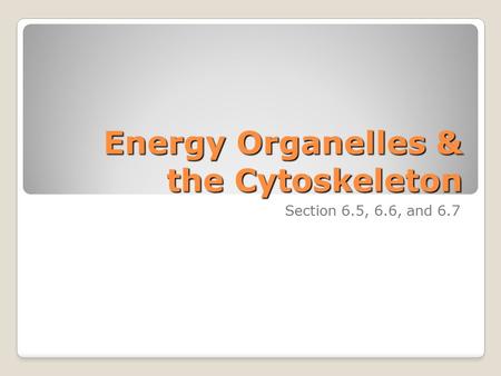 Energy Organelles & the Cytoskeleton Section 6.5, 6.6, and 6.7.