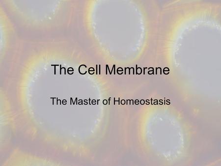 The Cell Membrane The Master of Homeostasis. Terms to Know Homeostasis Diffusion Osmosis Active Transport Cell membrane Plasma membrane Selectively permeable.