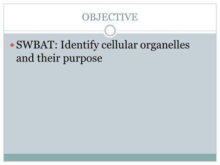 OBJECTIVE SWBAT: Identify cellular organelles and their purpose.