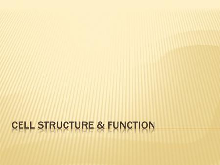 Cell structure & Function