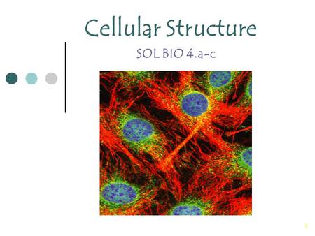 1 Cellular Structure SOL BIO 4.a-c. 2 Cell Theory The cell theory is the unifying theme in biology because it emphasizes the similarity of all living.