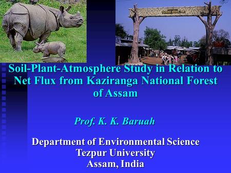 Department of Environmental Science Tezpur University Assam, India Prof. K. K. Baruah Soil-Plant-Atmosphere Study in Relation to Net Flux from Kaziranga.