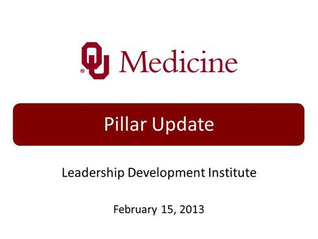 Pillar Update Leadership Development Institute February 15, 2013.