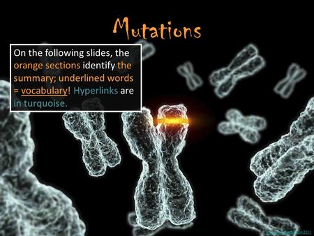 Image Accessed 01/04/2011 Mutations On the following slides, the orange sections identify the summary; underlined words = vocabulary! Hyperlinks are in.