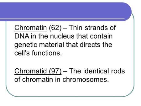 Chromatid (97) – The identical rods of chromatin in chromosomes. Chromatin (62) – Thin strands of DNA in the nucleus that contain genetic material that.