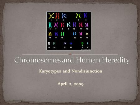 Karyotypes and Nondisjunction April 2, 2009. Some inherited traits can be identified at the chromosome level. Geneticists use karyotypes. Chromosomes.