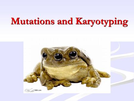 Mutations and Karyotyping