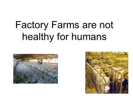 Factory Farms are not healthy for humans. Since human beings are growing more unhealthy due to factory farms and the factory farms are destroying the.