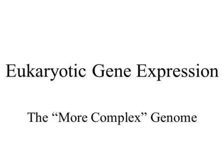 Eukaryotic Gene Expression The “More Complex” Genome.
