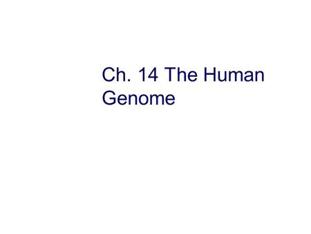 Ch. 14 The Human Genome.
