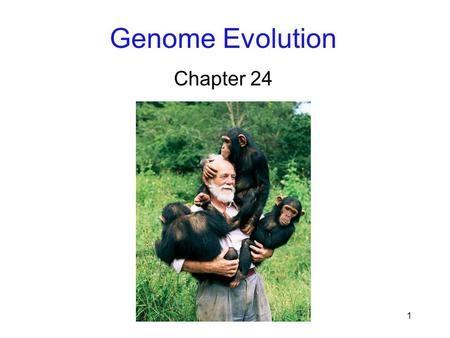 1 Genome Evolution Chapter 24. 2 Introduction Genomes contain the raw material for evolution Comparing whole genomes enhances – Our ability to understand.