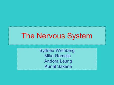 The Nervous System Sydnee Weinberg Mike Ramella Andora Leung Kunal Saxena.