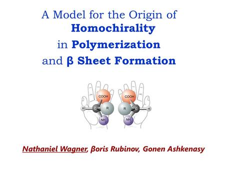 A Model for the Origin of Homochirality in Polymerization and β Sheet Formation Nathaniel Wagner, βoris Rubinov, Gonen Ashkenasy.