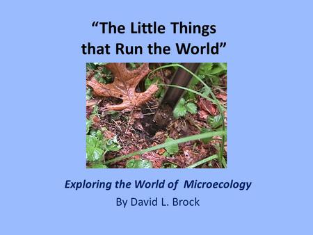 “The Little Things that Run the World”