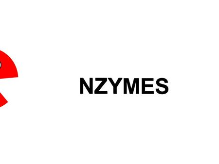 NZYMES NZY MES. Amylase catalyses the breakdown of starch AmylaseStarchAmylaseMaltose Enzyme Substrate EnzymeProduct.