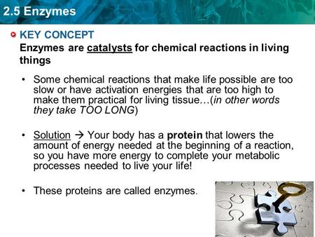 KEY CONCEPT Enzymes are catalysts for chemical reactions in living things Some chemical reactions that make life possible are too slow or have activation.