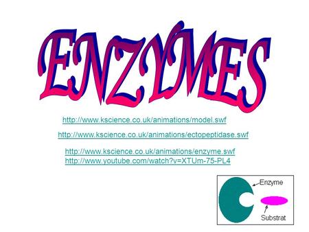 ENZYMES http://www.kscience.co.uk/animations/model.swf http://www.kscience.co.uk/animations/ectopeptidase.swf http://www.kscience.co.uk/animations/enzyme.swf.