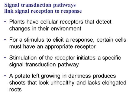 Signal transduction pathways link signal reception to response