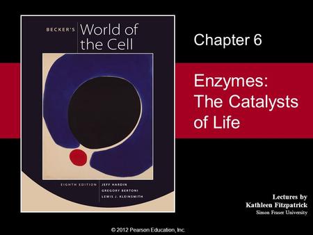 Enzymes: The Catalysts of Life