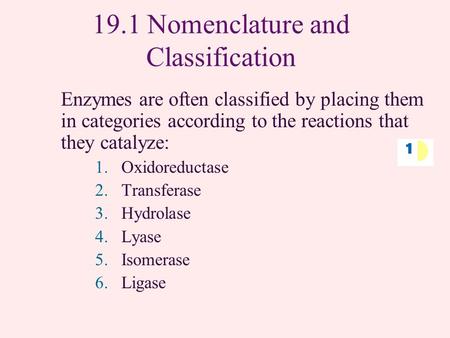 19.1 Nomenclature and Classification